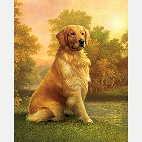 nipocaio DIY Adult Dog Diamond Painting Kit,Diamond Art Animals Round Diamond Painting Accessories,Hand Decorated Cross Stitch Canvas (12x16inch)