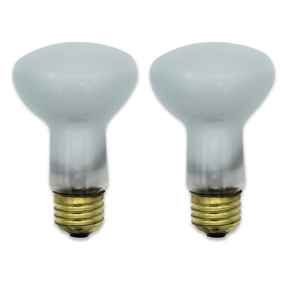 Replacement for GE GENERAL ELECTRIC G.E 45W 120V 310 LUMENS Replacement Light Bulb 2 Pieces