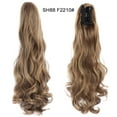 thumbnail image 2 of Reduce Price! WSBDENLK Perruque Queue de Cheval Serrée Européenne et Cheveux Longs Bouclés, 2 of 2