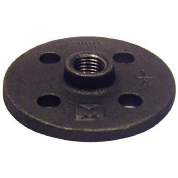 Pannext Fittings B-FLF02 0.25 in. Black Pipe Floor Flange