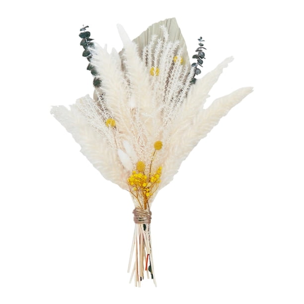 Arreglo floral de decoración de estar para el hogar de Zulema hierba de pampa seca