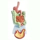 thumbnail image 2 of Modelo del sistema digestivo humano Anatomía del estómago Intestino grueso, 2 of 6