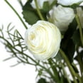 thumbnail image 2 of Vickerman 17" Artificial Cream Mini Ranunculus Spray, 2 of 2