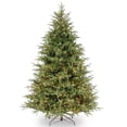 thumbnail image 3 of National Tree Company 6.5 ft. Pre-Lit Feel Real® Artificial Fraser Grande Christmas Tree, Green, Dual Color® LED Lights, Includes Stand, 3 of 7