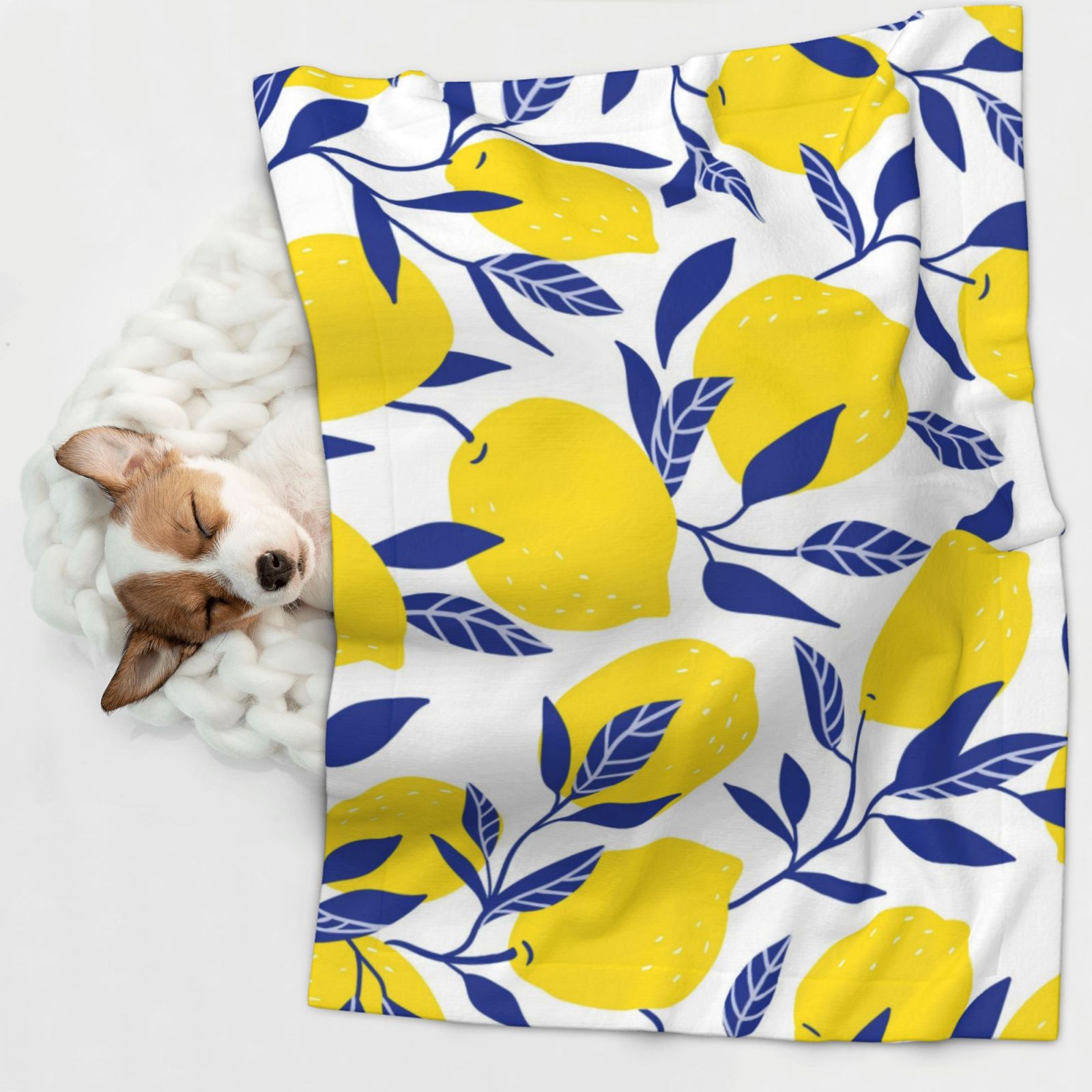 Naloa Tropical Lemon Dog Blanket, 3 Sizes Cat Blanket for Indoor Cats Large Medium Small Dog Gifts-