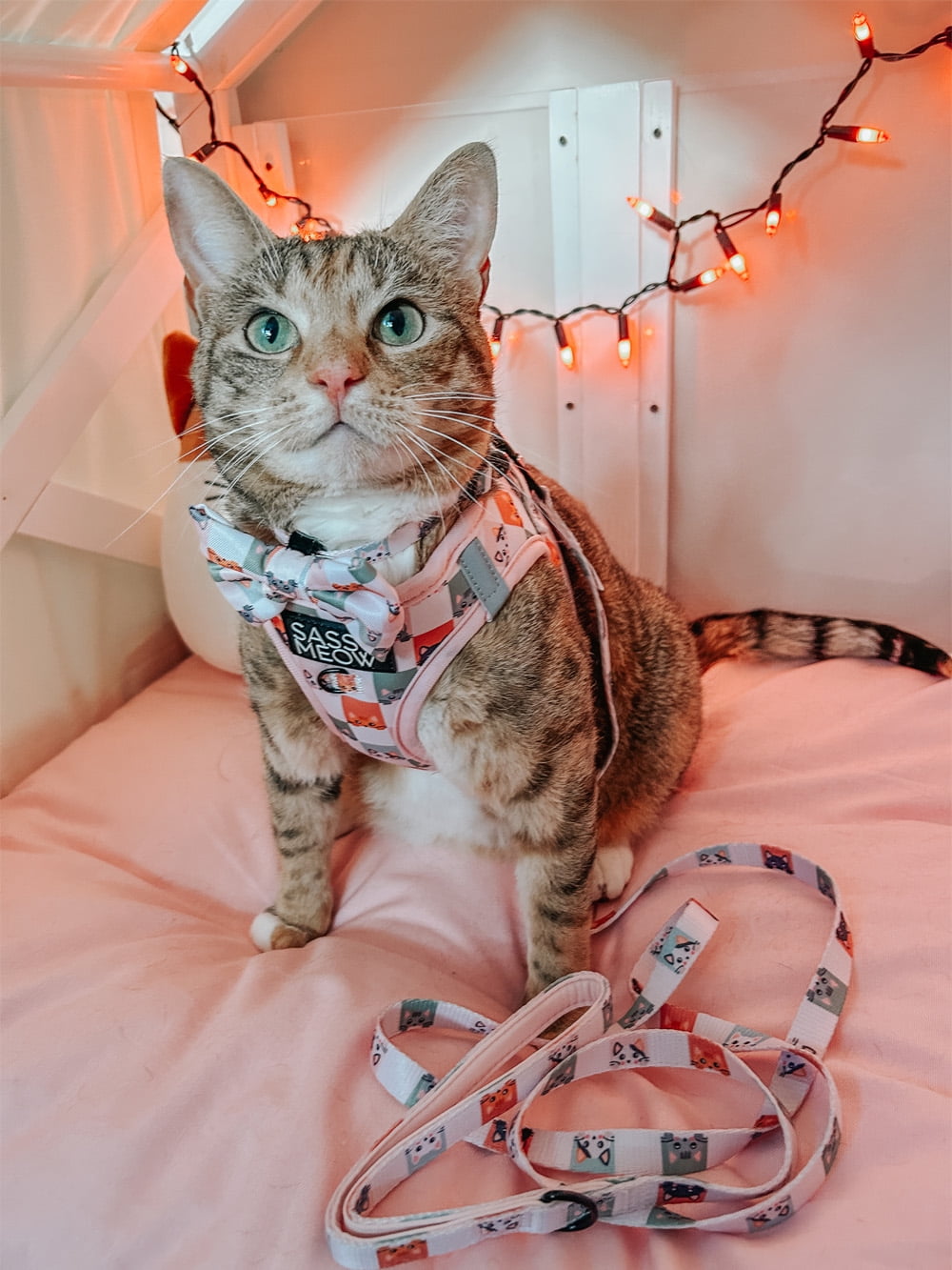 Sassy Meow Cat Leash - Hello Kitty Blue - Walmart.com