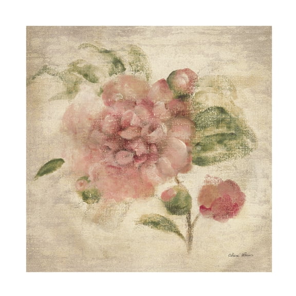 Trademark Fine Art Cheri Blum 'Dusty Pink Rose on Antique Linen Light' Canvas Wall Art -24x24