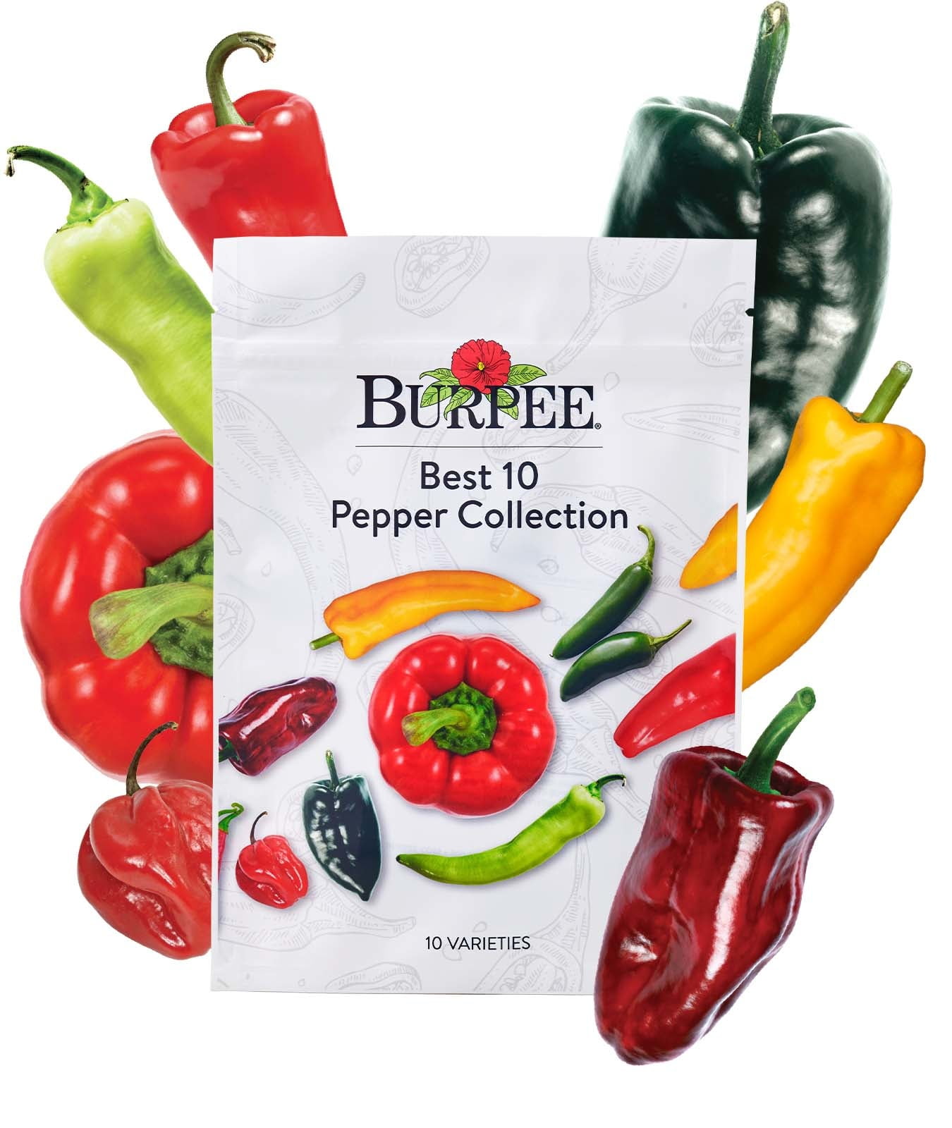 Burpee Best 10 Peppers Collection 10 Packets of NonGMO Pepper Seeds