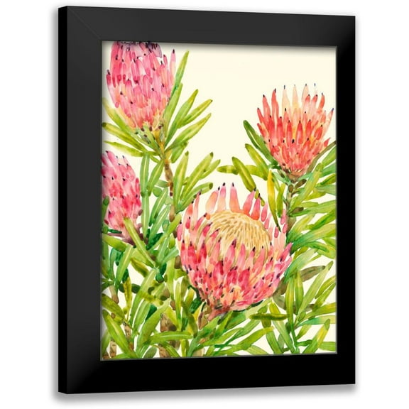 OToole, Tim 12x14 Black Modern Framed Museum Art Print Titled - Watercolor Tropical Flowers II