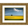 thumbnail image 1 of Wonisch, Andreas 18x13 Gold Ornate Wood Framed with Double Matting Museum Art Print Titled - The Tree and the Cloud, 1 of 4