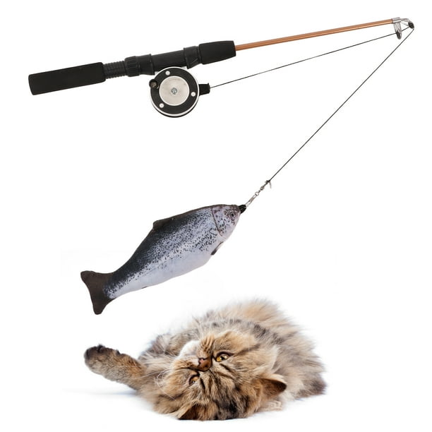 Cat Retractable Fishing Pole, Retractable Cat Teaser Wand Funny For Cats  Carp + Fishing Rod,Salmon + Fishing Rod 