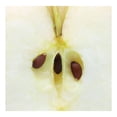 thumbnail image 4 of Manzana gala orgánica Marketside 907 g, 4 of 4
