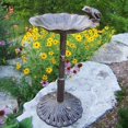 thumbnail image 1 of Oakland Living Frog Themed Bird Bath-Verdi Grey, 1 of 2