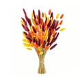 thumbnail image 3 of Cheapark 60 Pieces Bunny Tail Preserved Flowers Dried Flower Stems Decorative Florals for Vase Arrangement Home Decor Gift, 3 of 7