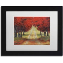 Trademark Fine Art 'Autumn Pathway' Canvas Art by Daniel Moises, White Matte, Black Frame