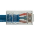 thumbnail image 3 of SF Cable Cat5e UTP Non-Booted Ethernet Cable, 40 feet - Blue, 3 of 4