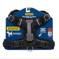 thumbnail image 1 of Arnés para perro PetSafe Easy Walk Comfort antitirones negro T/M, 1 of 8