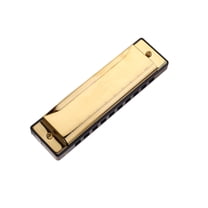 OULII 10-Hole Golden Harmonica for Beginners with Rich Tone and Design