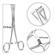 thumbnail image 1 of Herramienta de perforación corporal de acero quirúrgico, pinzas de abrazadera de tubo de aguja, alicates de bola de anillo abierto y cerrado, herramientas de perforación de tabique de labio y vientre, 1 of 5