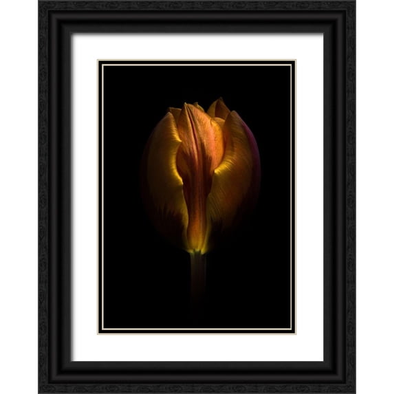 Carson, Brian 24x32 Black Ornate Wood Framed with Double Matting Museum Art Print Titled - Backyard Flowers 75