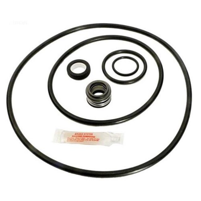 Aladdin Equipment Sta Rite Max E-Pro Go Kit