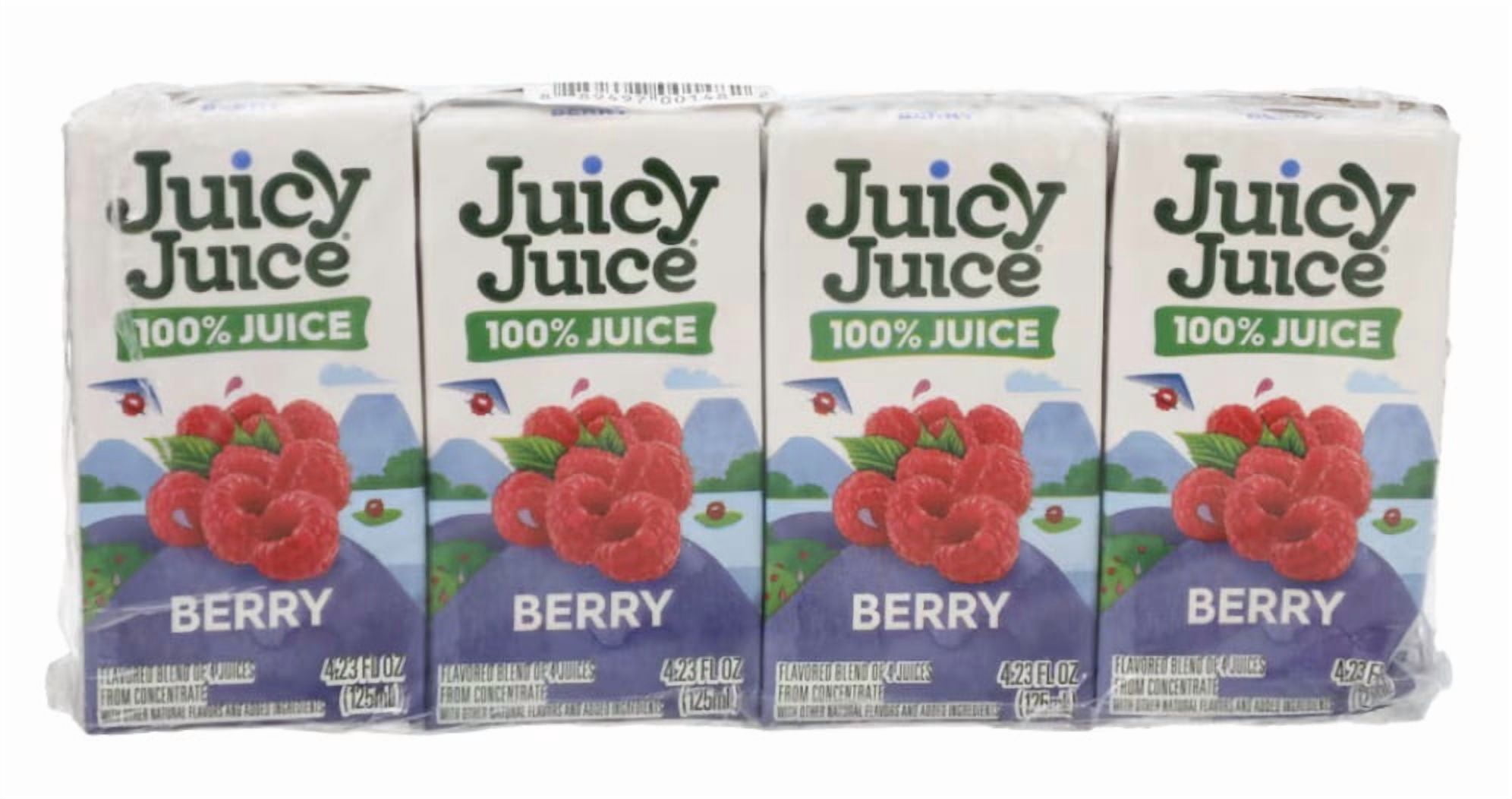 Juicy Juice 12ct Fruit Box Bundle Berry Flavor 4.23oz Fruit Juice