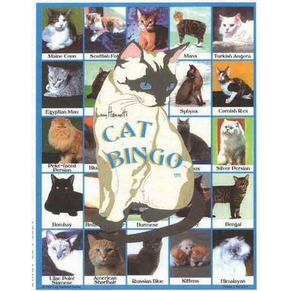 Lucy Hammett Cat Bingo