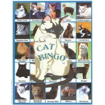 Lucy Hammett Cat Bingo