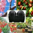 thumbnail image 6 of Markeny Reusable Plant Rooting Ball, Plant Propagation Root Ball Effective Invisible Propagation(15PCS), 6 of 8