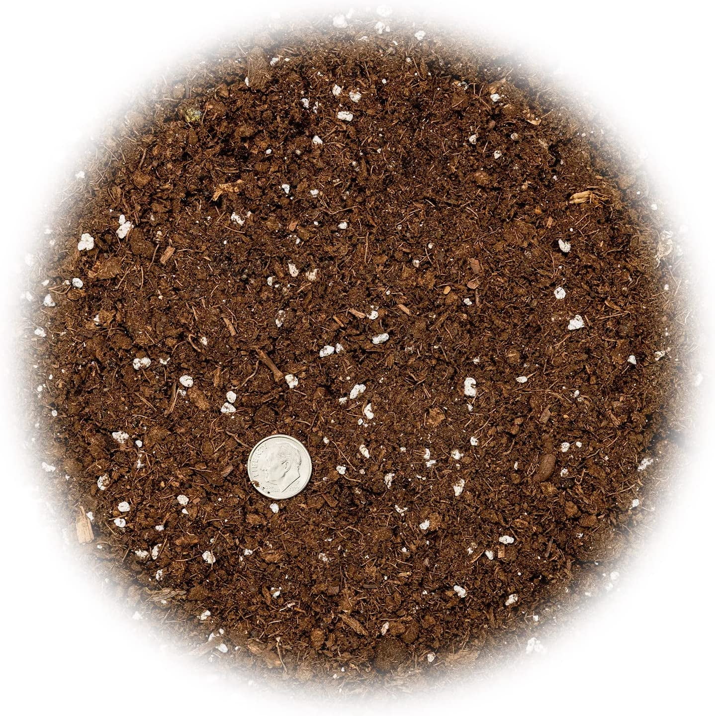 GARDENERA Money Tree Potting Soil, Soil Mix for Planting or Repotting Guiana Chestnut, Soil Blended to Properly Grow Money Tree Plants - (4 Quart Bag)
