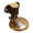 D, variant on Stainless Steel Screws,304 Stainless Steel Ground Suction, Adjustable Invisible Door Ground Resistance Suction