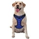 thumbnail image 1 of Balery Hockey Arnés para Perros Grandes Antitirones, Arnés con Correa para Gato, Arnés Tipo Chaleco para Perros Pequeños-Large, 1 of 6