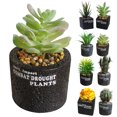 thumbnail image 2 of Coofit Artificial Succulent Mini Plastic Decorative Artificial Plant Fake Plant, 2 of 6
