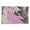 Frame-style, variant on Anime The Tale of The Princess Kaguya Poster Famous Japan Painting On Canvas Wall Art Poster Scroll Picture Print Living Room Walls Decor Home Posters 12x18inch(30x45cm)