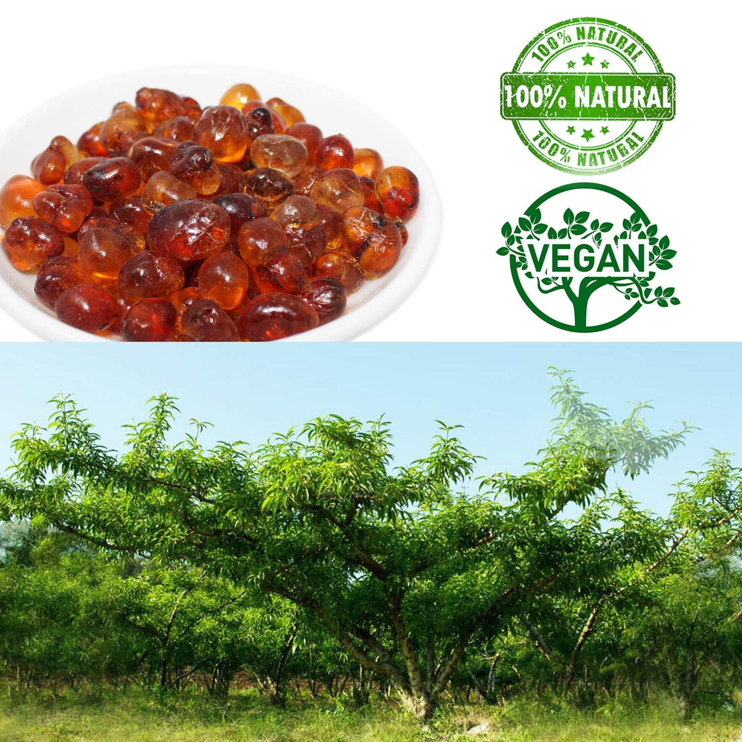 DABC OAK LAND 1LB Wild Peach Gum, All Natural Edible Peach Blossom, Tears Tao Jiao Peachs Resin, Boosting Resin for Skin  Healthfor Dessert, Drink, Soup, Tea, 16OZ Bag