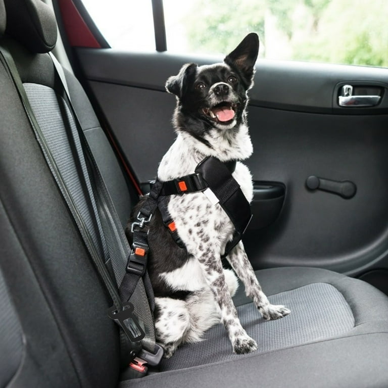 Dog seat top belt collar