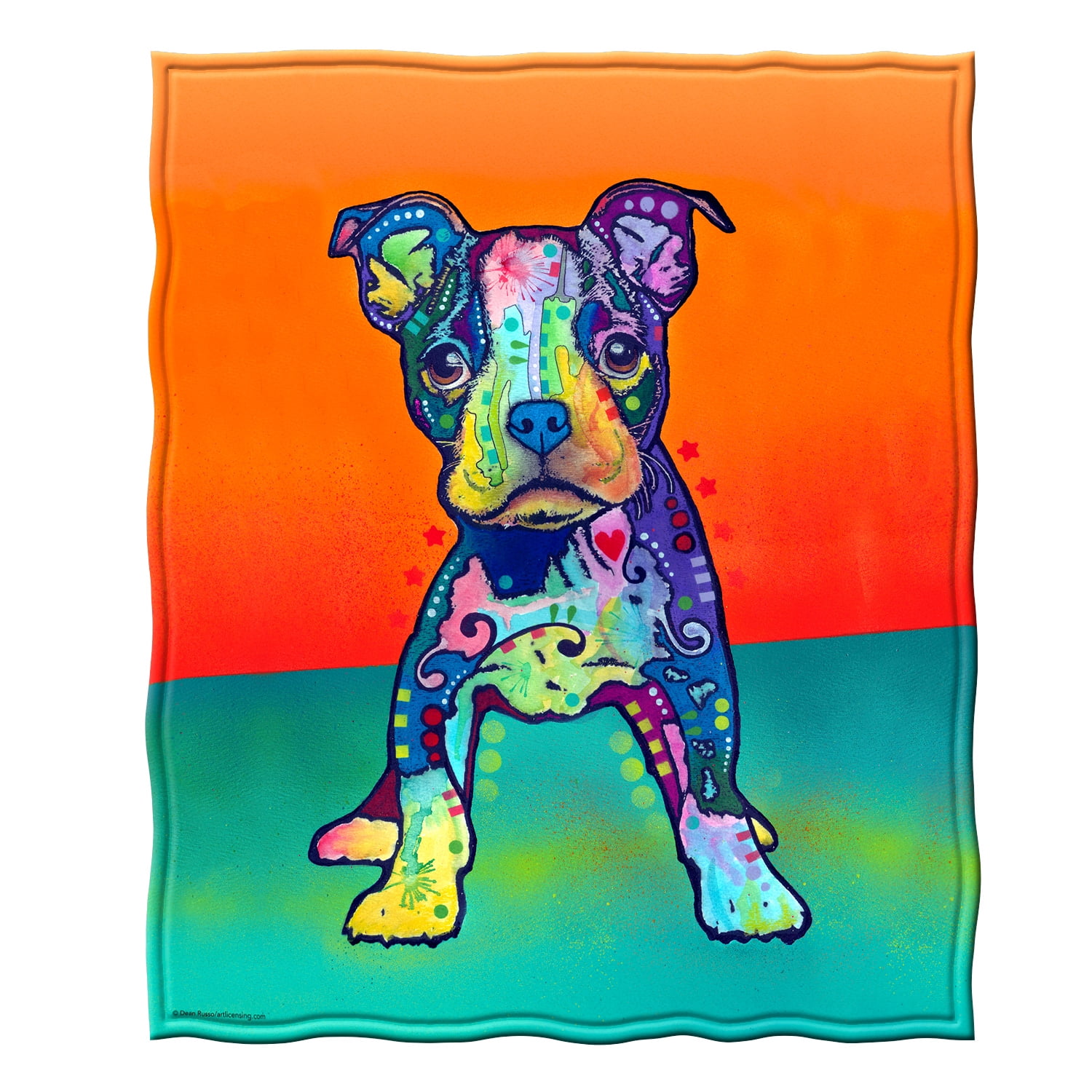 Ambesonne Boston Terrier Soft Flannel Fleece Throw Blanket Party Puppy Celebrating His Birthday on Colorful Stary Background Multicolor Cozy Plush for Indoor and Outdoor Use 60 x 80 