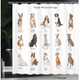 thumbnail image 4 of Ambesonne Colorful Shower Curtain, Puppy Breeds Family, 69"Wx70"L, Multicolor, 4 of 5