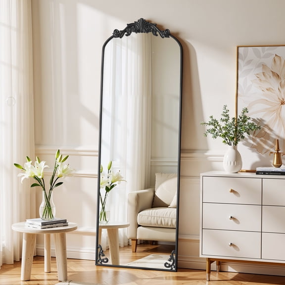 Anyrose 66"x 21" Vintage Mirror - Arched Full Length Mirror with Carved Metal Frame, Black