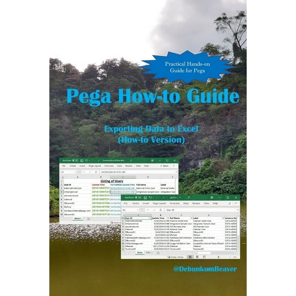 Pega How-to Guide: Exporting Data to Excel (How-to Version), (Paperback)