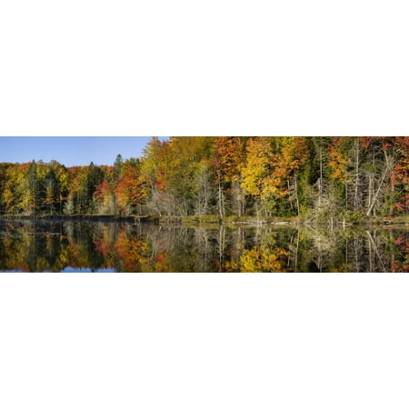 Fall Color at Small Lake or Pond Alger County in the Upper Peninsula, Michigan Print Wall Art By Richard and Susan