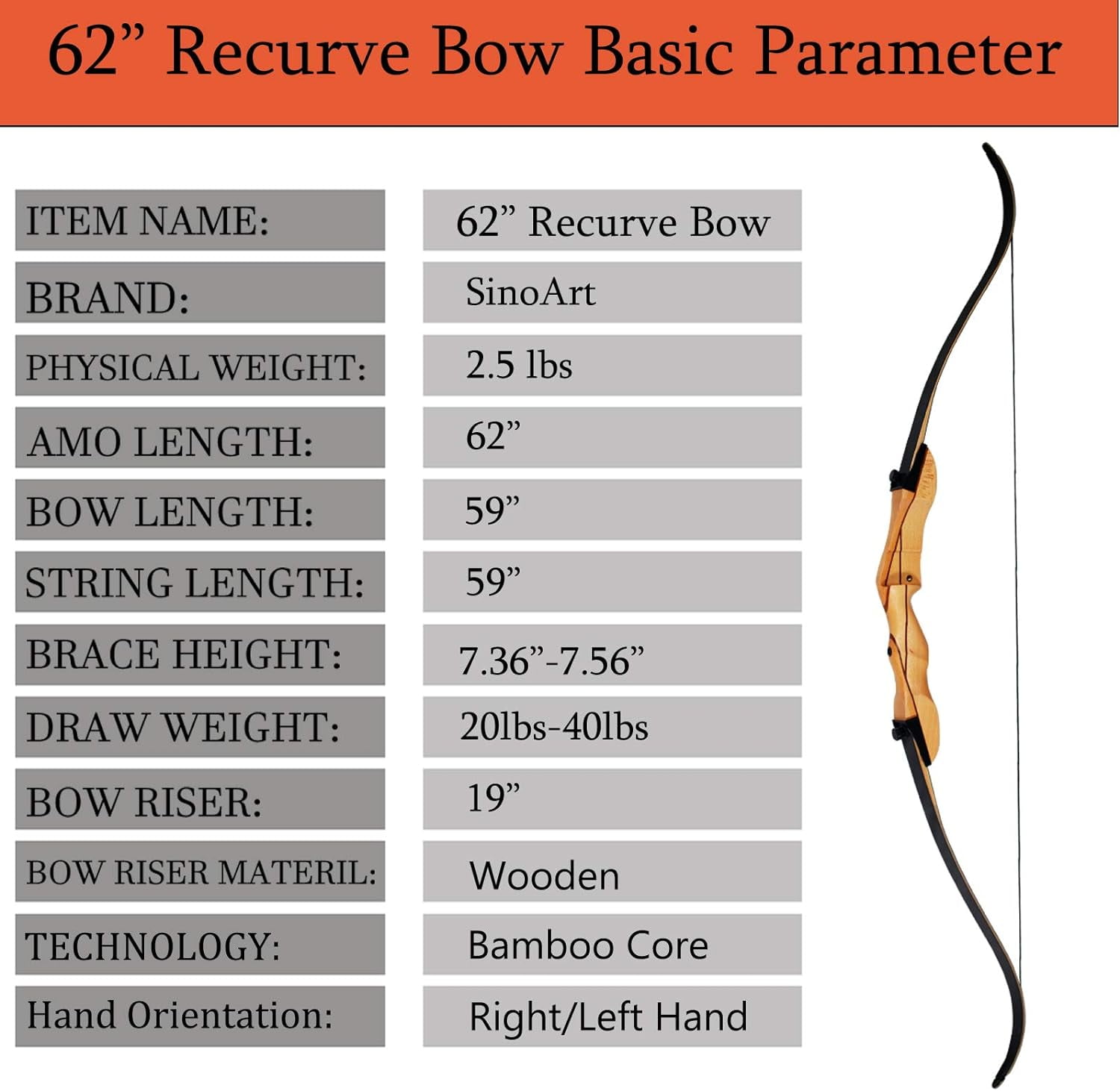 Arc Recourbé Démontable AMEYXGS 62" - 20-55 Lbs - Droitier - Bois/Fibre