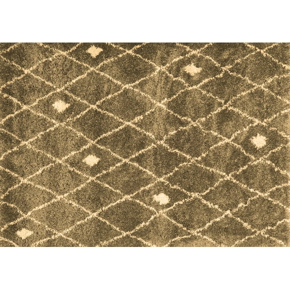 Ahgly Company Indoor Rectangle Trellis Brown Modern Area Rugs, 2' x 4'