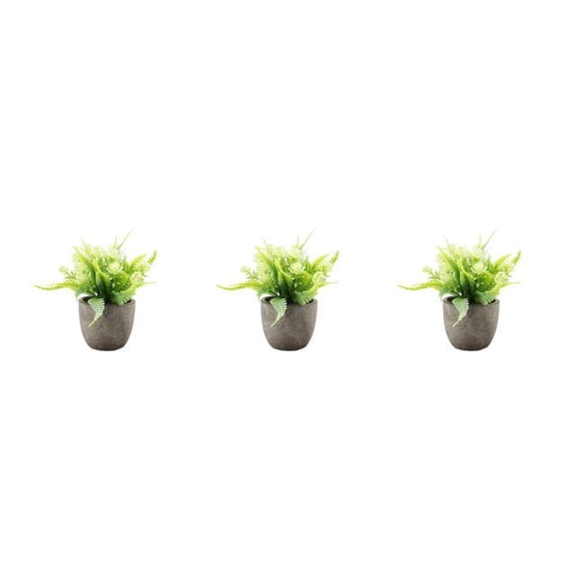 kurtrusly Realistic Artificial Succulent Low Maintenance Elegant Easy To Clean Artificial Money Tree In Pot white rose 3Set