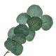 thumbnail image 5 of Plantas Artificiales Naiovety 10 Piezas Decoración Ramo de Flores de Seda ABS 35 cm, 5 of 6