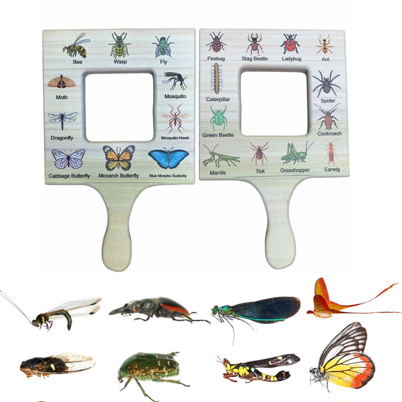 Nature Guide Finder Cloud Leaves Creative Wooden Crafts Toys Frame Home Educatio