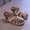 Brown, variant on Liyamei Children's Shoes Girls Sandals 2026 New Summer Baotou Woven Roman Shoes Medium And Large Children's Soft Soled Beach Shoes Girls Summer Sandals Size Beige 3.5-4 Years