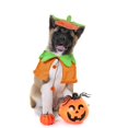 thumbnail image 5 of WILLED Halloween Cat Costume Pumpkin Cloak and Hat Set, Cute Pet Halloween Costumes for Cats and Kittens, Adjustable Soft Flannel, Festive Pumpkin Design for Halloween Parties Cosplay and Photo Props, 5 of 7