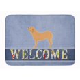 thumbnail image 1 of Carolines Treasures BB5583RUG Fila Brasileiro Welcome Machine Washable Memory Foam Mat, 1 of 4