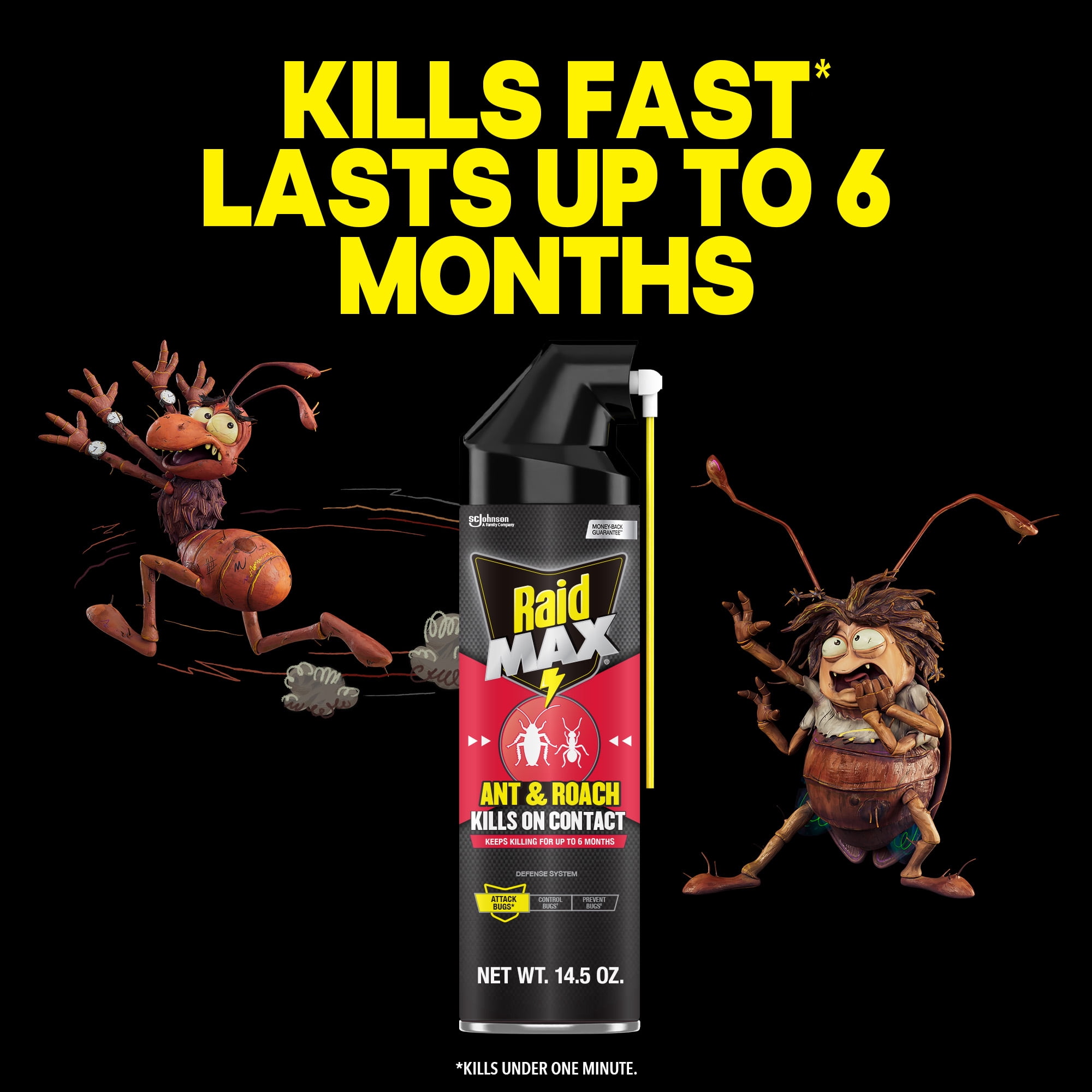 Raid MAX Indoor Ant and Roach Insecticide, 14.5 oz